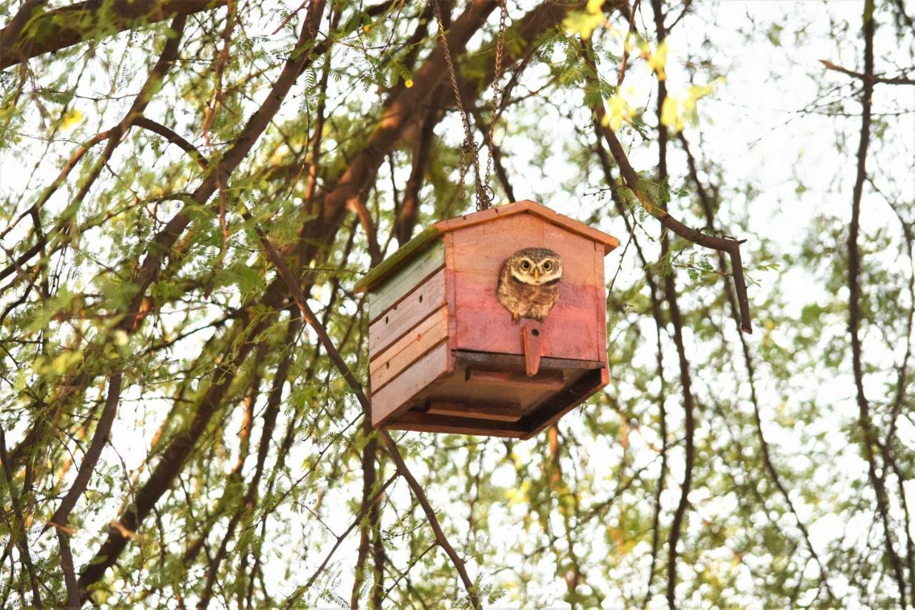 Ranthambhore Bagh Dwar Camp Khilchīpur Dış mekan fotoğraf