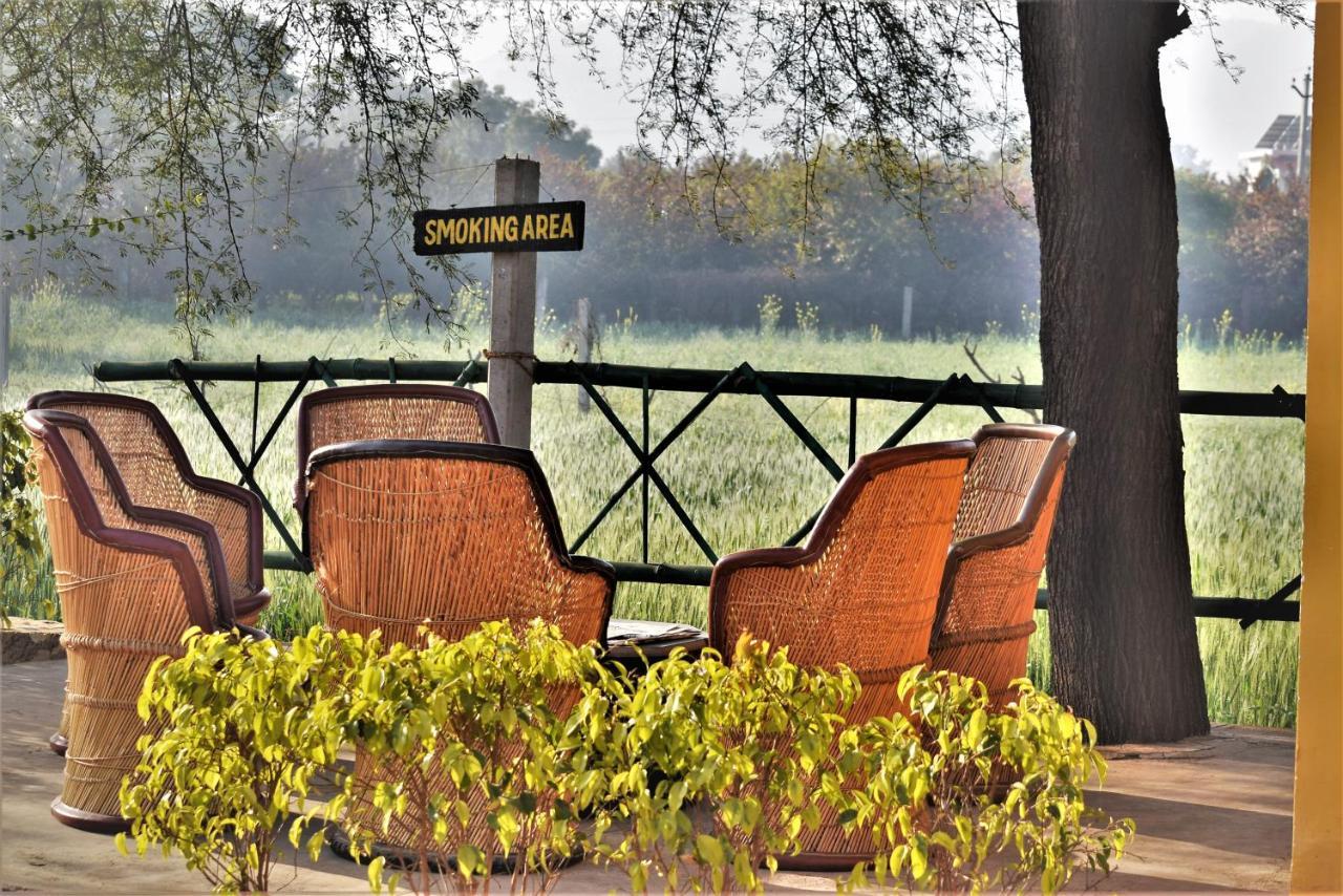 Ranthambhore Bagh Dwar Camp Khilchīpur Dış mekan fotoğraf